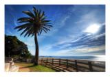 Santa Monica Boulevard Premium Photographic Print by Trey Ratcliff
