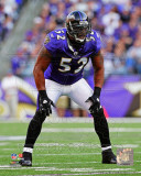 Ray Lewis 2011 Action Photo