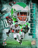 DeSean Jackson 2011 Portrait Plus Foto