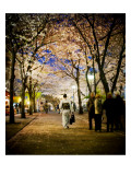 Kimono under the cherry Trees Premium Photographic Print by Trey Ratcliff
