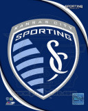 2011 Kansas City Sporting Team Logo Foto