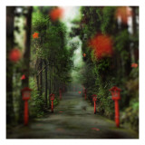 The Hare in Harajuku Premium Photographic Print by Trey Ratcliff