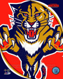 Florida Panthers 2011 Team Logo Photo