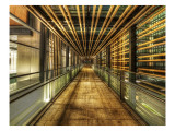 The Tunnel to the Singularity Premium Photographic Print by Trey Ratcliff