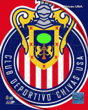 2011 Club Deportivo Chivas Team Logo Photo