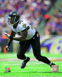 Terrell Suggs 2011 Action Photo Terrell Suggs 2011 Action Photo