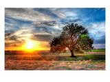 A Sunset on a Texas Farm Premium Photographic Print by Trey Ratcliff