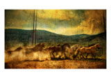 The Old Wild Stampede Reproduction photographique sur papier de qualité par Trey Ratcliff