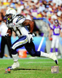 Bob Sanders 2011 Action Photo