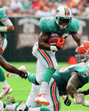 Reggie Bush 2011 Action Photo