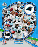 Carolina Panthers 2011 Team Composite Photo