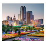 Downtown Dallas from the Flower Market Premium Photographic Print by Trey Ratcliff