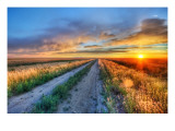 Long Road in Montana Premium Photographic Print by Trey Ratcliff