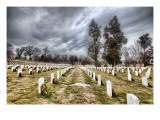 The Endless Rows of Arlington Cemetery Premium Photographic Print by Trey Ratcliff