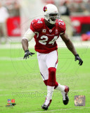 Adrian Wilson 2011 Action Foto