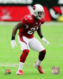 Patrick Peterson 2011 Action Foto