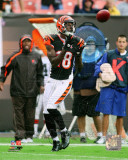 A.J. Green 2011 Action Foto