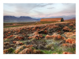 Red Fields on the Tundra Reproduction photographique sur papier de qualité par Trey Ratcliff