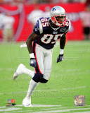 Chad Ochocinco 2011 Action Photo