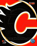Calgary Flames 2011 Team Logo Photo