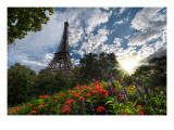Another Summer Day in Paris Premium Photographic Print by Trey Ratcliff