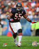 Lance Briggs 2011 Action Photo