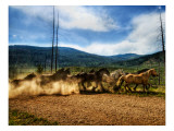 Stampede of the Wild Horses Premium Photographic Print by Trey Ratcliff