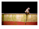 Across the Line Premium Photographic Print by Trey Ratcliff
