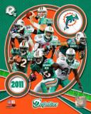 Miami Dolphins 2011 Team Composite Foto