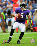 Joe Flacco 2011 Action Photo