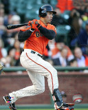 Carlos Beltran 2011 Action Photo