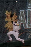 Detroit Tigers v Texas Rangers - Playoffs Game Six, Arlington, TX - October 15: Josh Hamilton Photographie par Bob Levey
