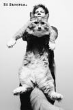 Ed Sheeran-Cat Pósters Ed Sheeran-Cat Pósters