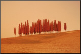 Sunset, Tuscany Mounted Print by W. Krecichwost