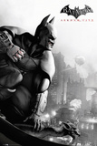 Batman Arkham City-Cover Plakat Batman Arkham City-Cover Plakat