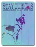 Stay curious Wood Sign