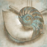 Coastal Gems IV Prints by John Seba