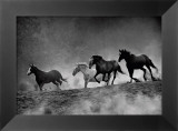 Galope comme le vent Affiches par Tony Stromberg