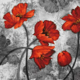 Evening Red II Prints by Brian Francis