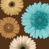 Daisy Quartet II Print by Lindsay Blake