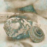 Coastal Gems I Poster von John Seba