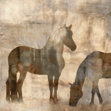 Equine II Prints by Jason Mann