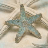 Coastal Gems III Print by John Seba