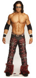 John Morrison - WWE Stand Up