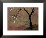 Plum Tree against a Colorful Temple Wall Lámina fotográfica enmarcada por Raymond Gehman