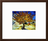 Mulberry Tree, c.1889 Framed Giclee Print by Vincent van Gogh
