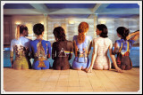Pink Floyd Mounted Print