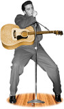 Elvis Presley TALKING Stand Up