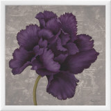 Black Plum I Framed Canvas Print by Ariane Martine