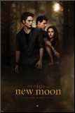 Twilight - New Moon Mounted Print